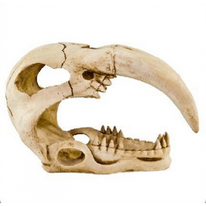 Enfeite-de-Resina-Soma-Esqueleto-Tigre-Dente-de-Sabre