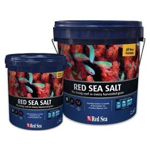 Sal-Red-Sea---Balde
