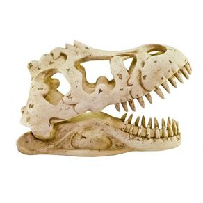Enfeite-de-Resina-Soma-Esqueleto-Cabeca-de-Tiranossauro-Rex