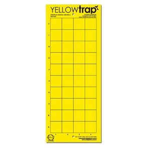 Armadilha-Amarela-para-Insetos-Yellow-Trap---Colly--5-unidades-