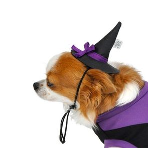 Touca Pet Halloween , touca abóbora, cães e gatos fantasia