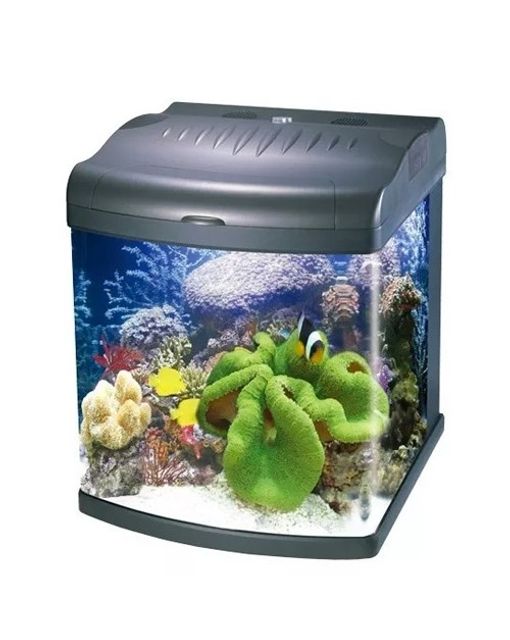 Aquario Curvo Boyu Marinho Mt 50 80 Litros Royalpets Aquario Curvo Boyu Marinho Mt 50 80 Litros Royalpets