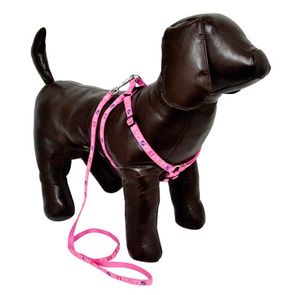 Brinquedo de Pelúcia Coelhinho Mix Colors para Cães – The Pets Brasil -  royalpets