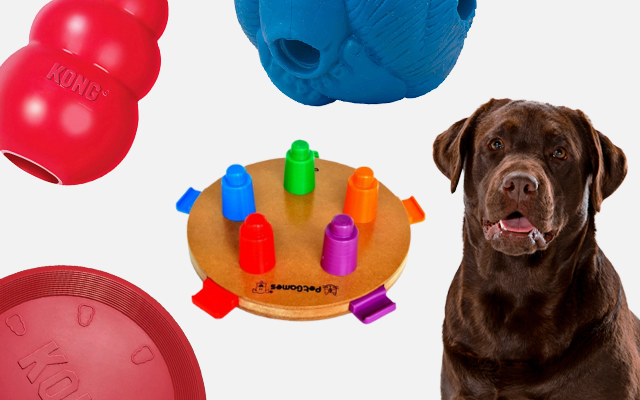 Brinquedo Interativo Pet Ball Pet Games