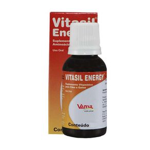 suplemento-vitaminico-vitasil-energy-120ml-754